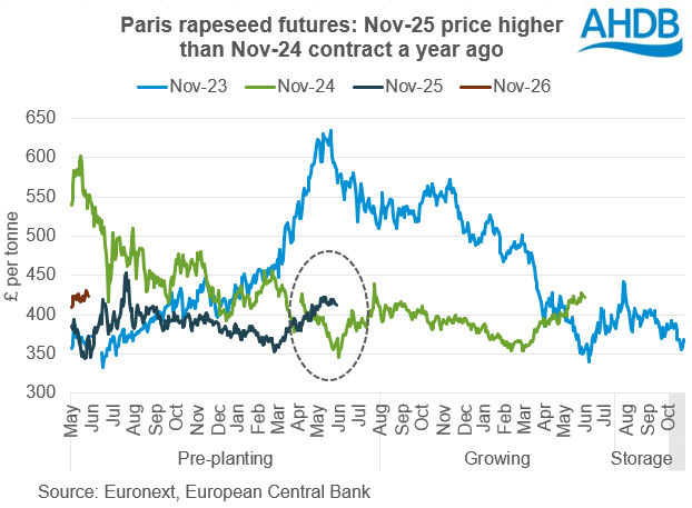 A graph showing Paris rapeseed futures Nov-25 price higher than Nov-24 contract a year ago.